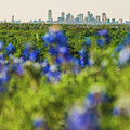 April in Dallas