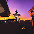 Tucumcari Safari